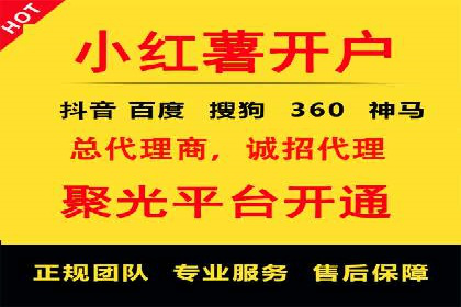 广告行业中的信息流大师：成功案例解析
